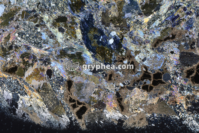 Métagabbro à Glaucophanite LPA x3,5 - gryphea.com